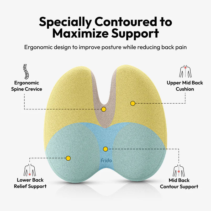 Ultimate Comfort Duo – Cushion + Support Like Never Before